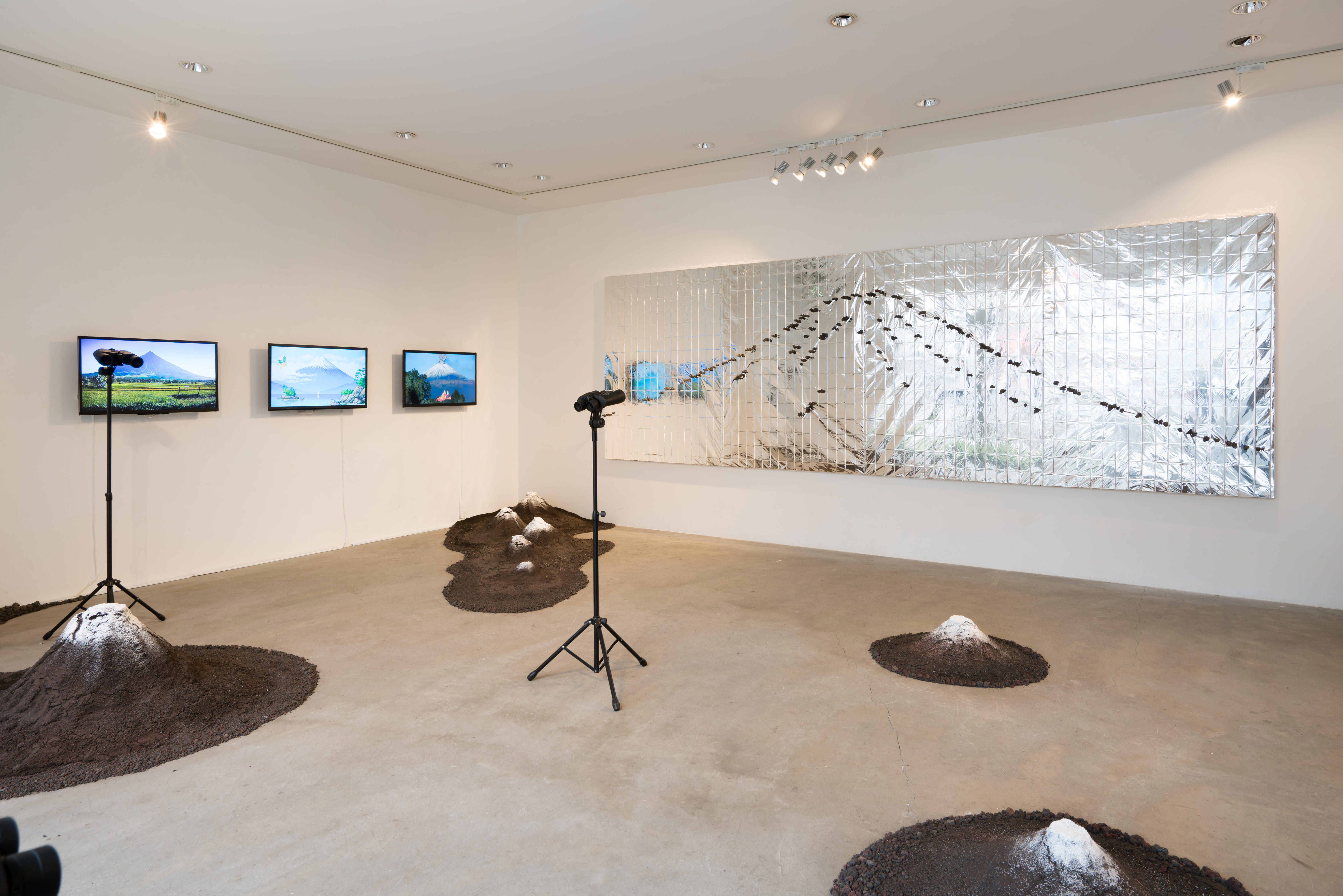 The installation view of solo show: Native Landscape, in 2016