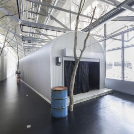 Echigo-Tsumari Art Triennale 2015 Art Tour Report No.5 - Leandro Erlich