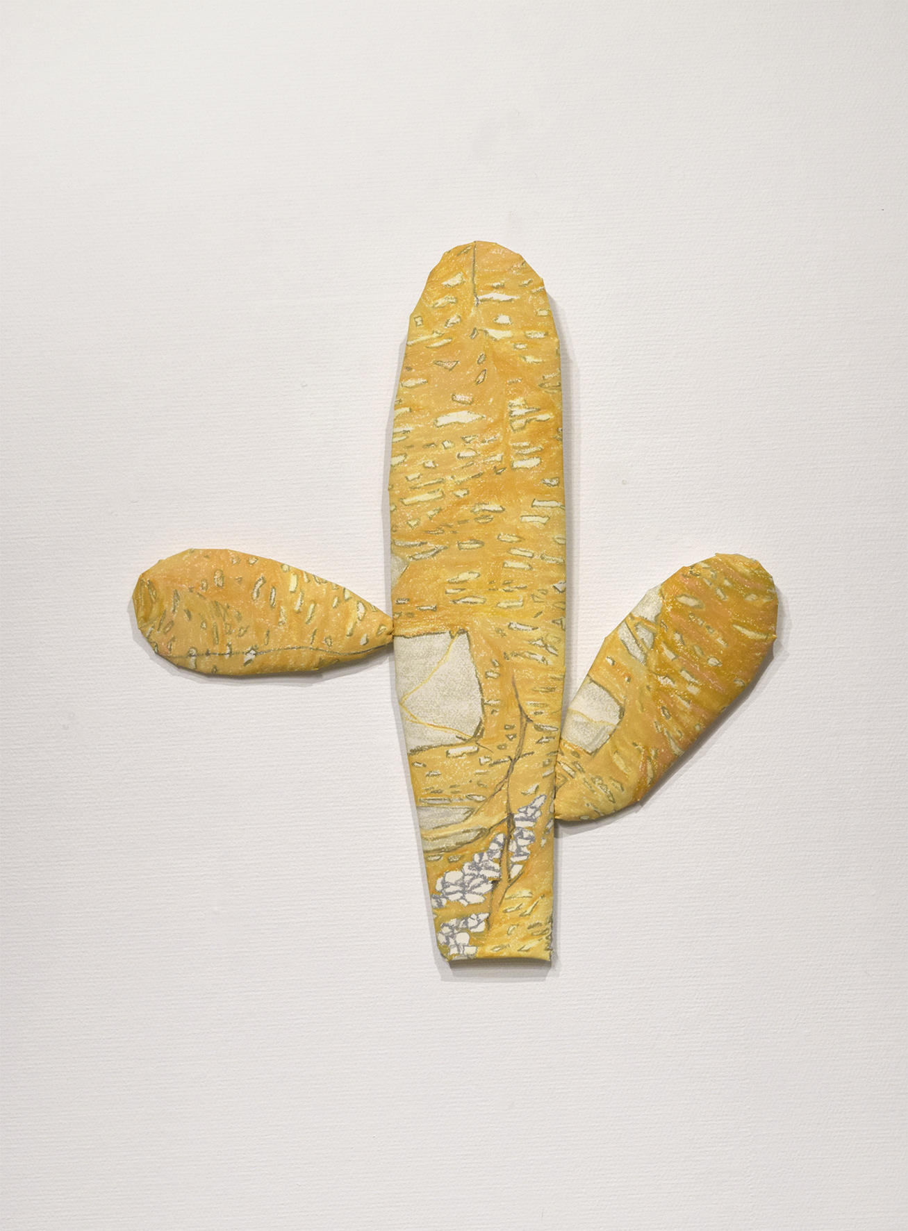 Cosmic Kids Cactus (コズミック キッズ カクタス)