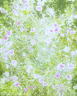 北城貴子　Spiral Light Sprinkle