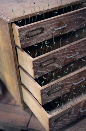 特別展： 角文平 - Sprout