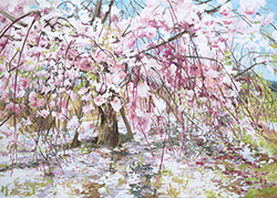 北城貴子 ‐ 浸透する光