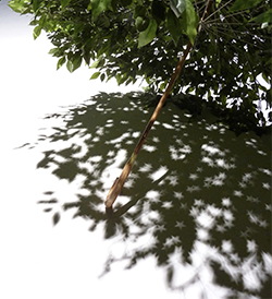 木村崇人 個展 - テーブルの上／下から