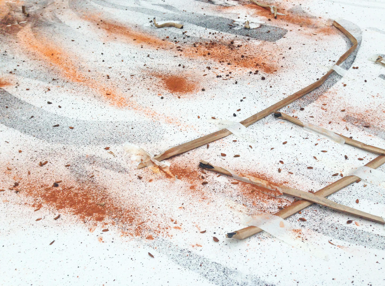 蔡國強（ツァイ・グオチャン）　アート・アイランド展 