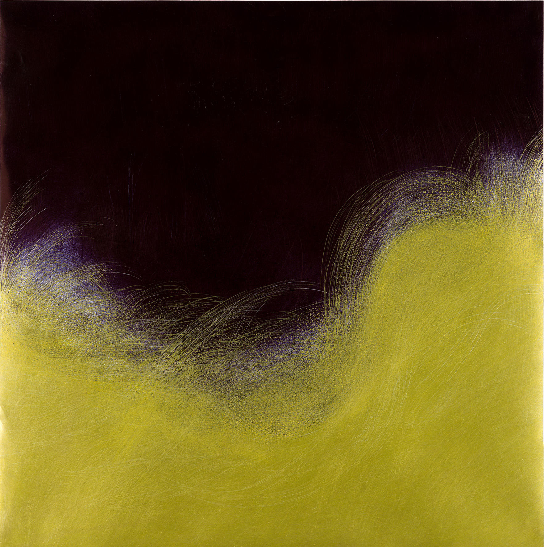 コレクション展-椛田ちひろ