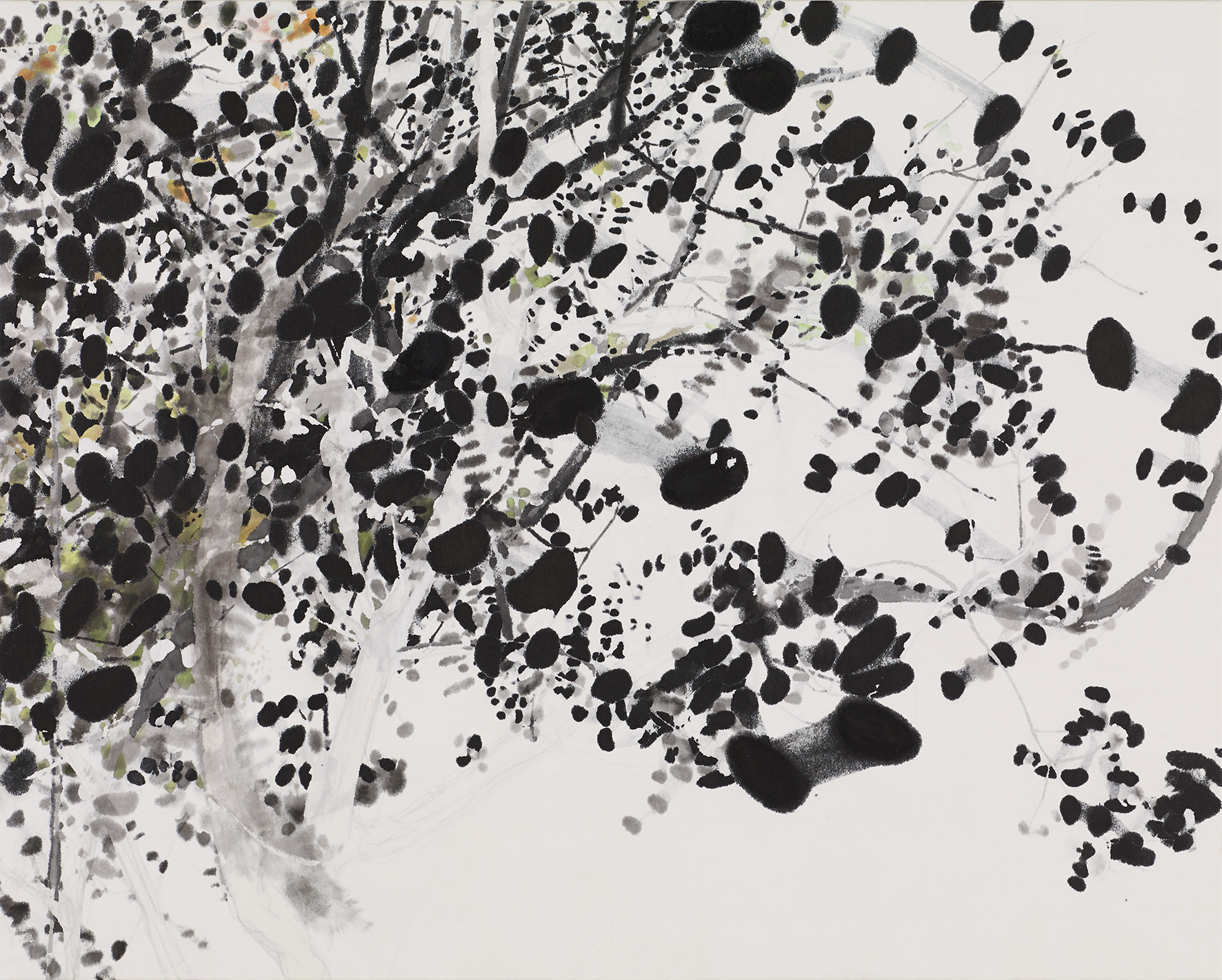 浅見 貴子  個展  　光合成