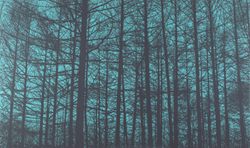 阪本トクロウ - けだるき一日生きるだけ