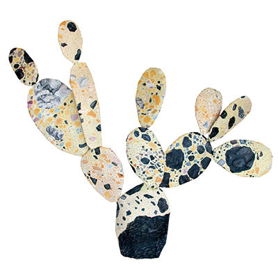 康夏奈（吉田夏奈）-コズミックカクタス