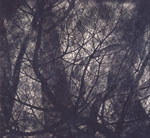 特別展: 船田玉樹 - 創造の森へ(ヒルサイドフォーラム)