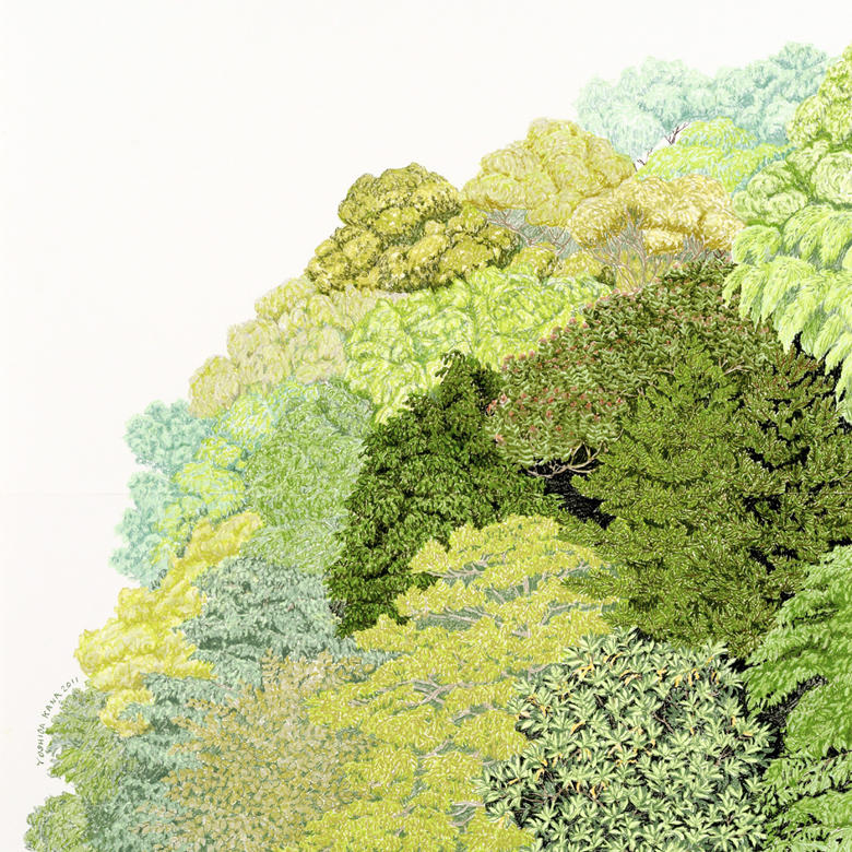 吉田夏奈 - 海は青い、森は緑    