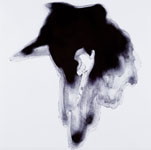 椛田ちひろ 個展 - Following the Shadow