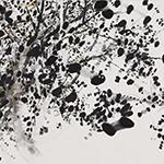 浅見 貴子  個展  　光合成