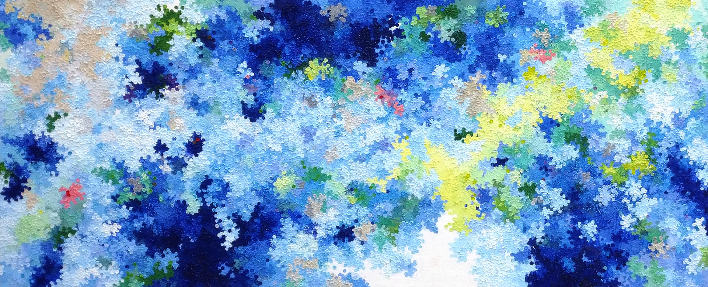 Satoshi Uchiumi : squid