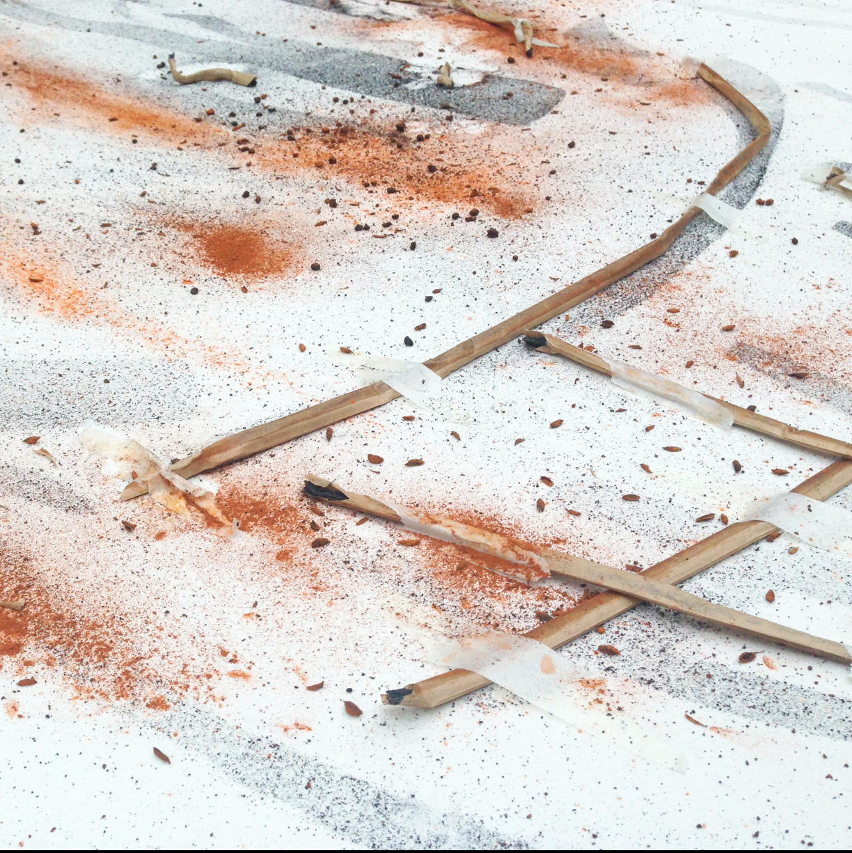 蔡國強（ツァイ・グオチャン）　アート・アイランド展 