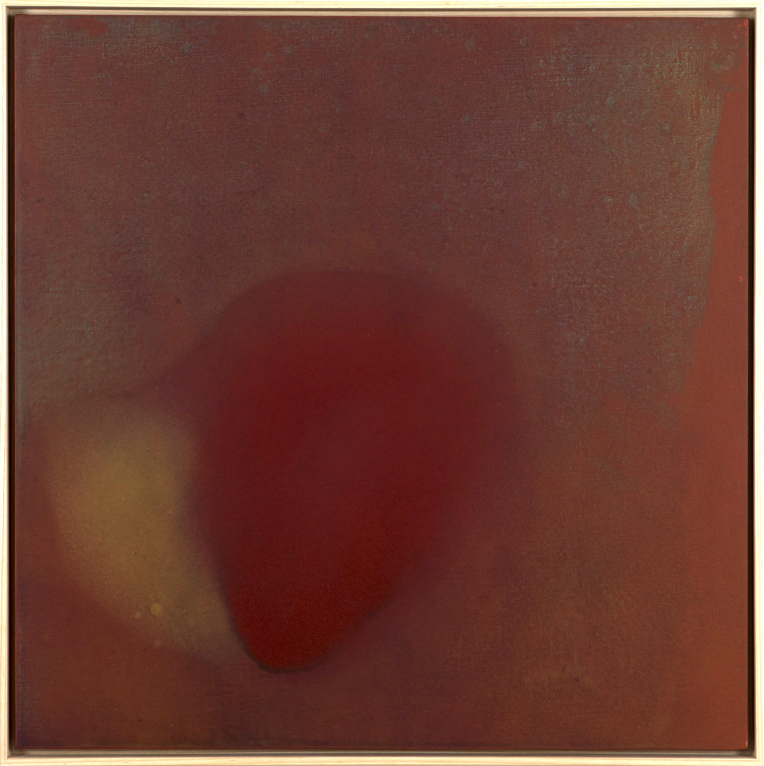 市原湖畔美術館 関連企画　田中信太郎 作品展