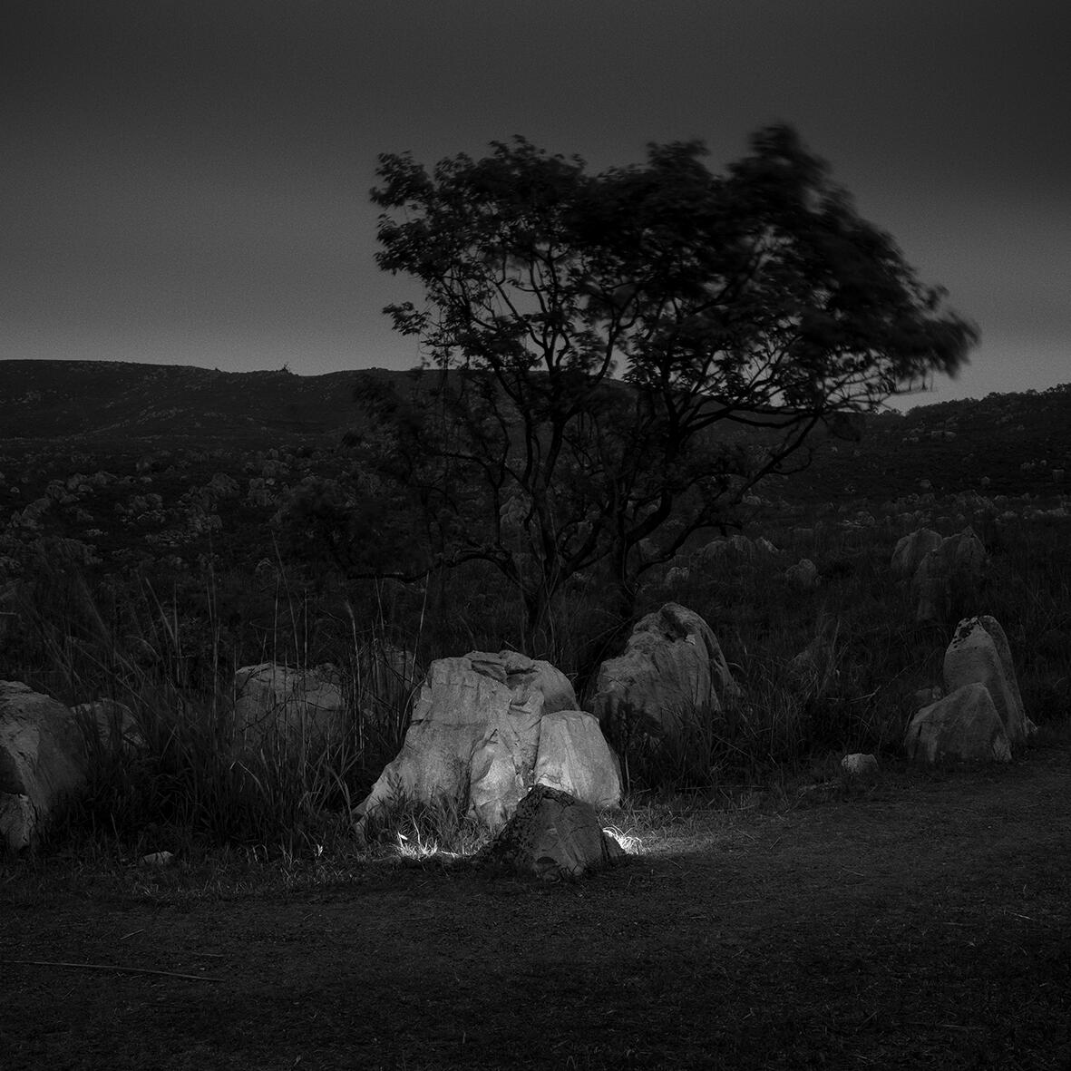 石黒 昭：個展「銀色の月明かりの下で」