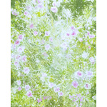 北城貴子　Spiral Light Sprinkle