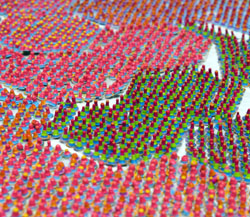 小野耕石 - Multiples