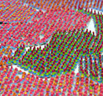 小野耕石 - Multiples