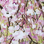 北城貴子 ‐ 浸透する光