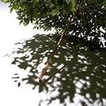 木村崇人 個展 - テーブルの上／下から