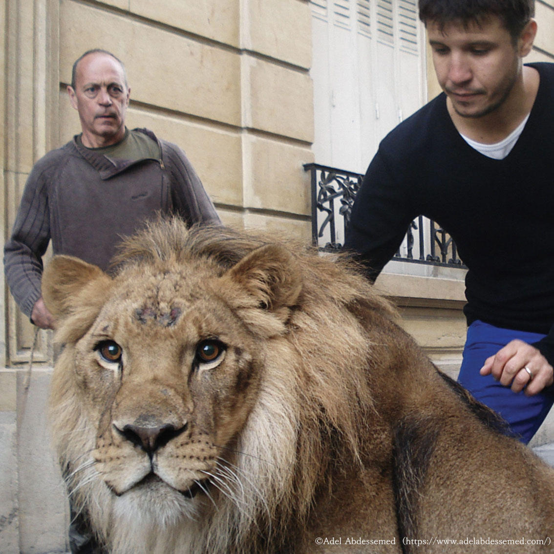 アデル・アブデスメッド「Play it Again」vol.3：アデルとユーモア