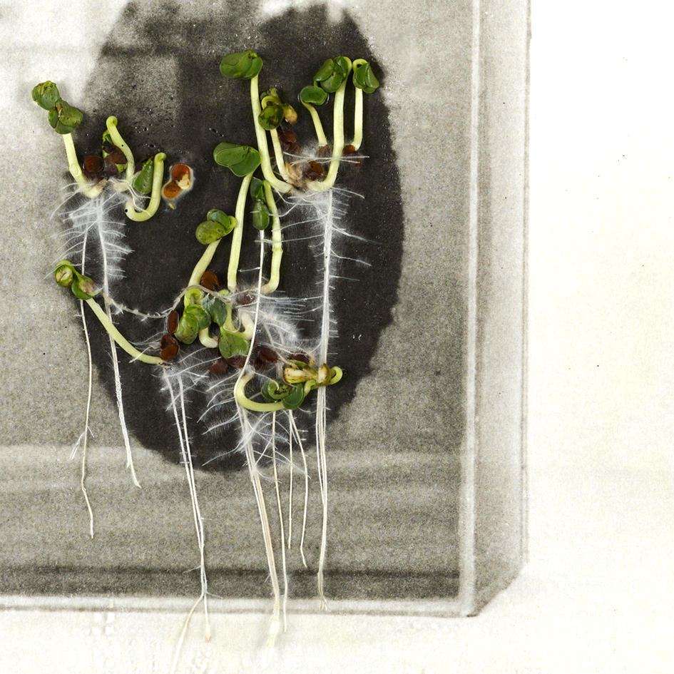 【インタビュー】栗林隆：出部屋