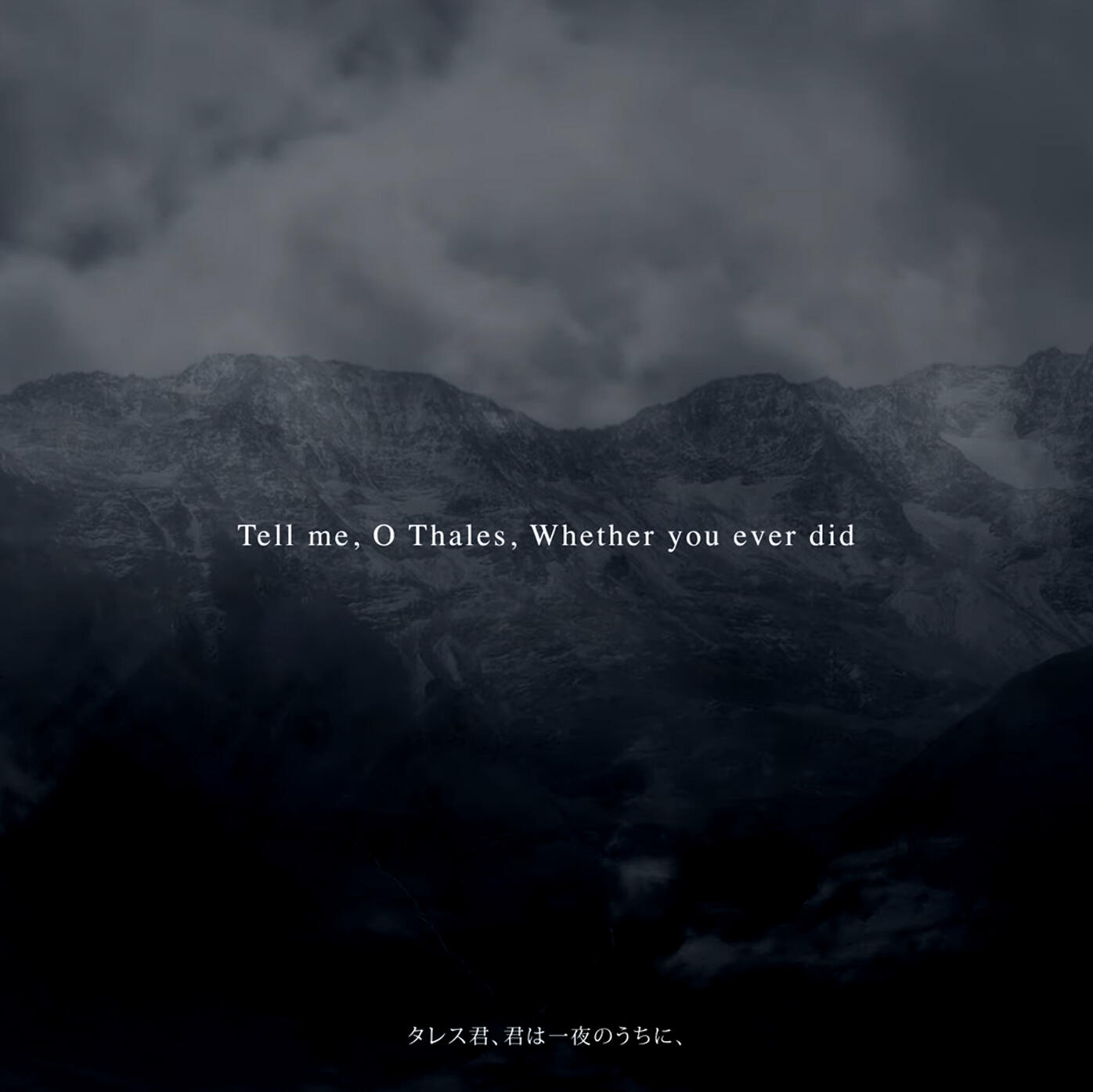 Gallery's Picks for the Month(映像作品)