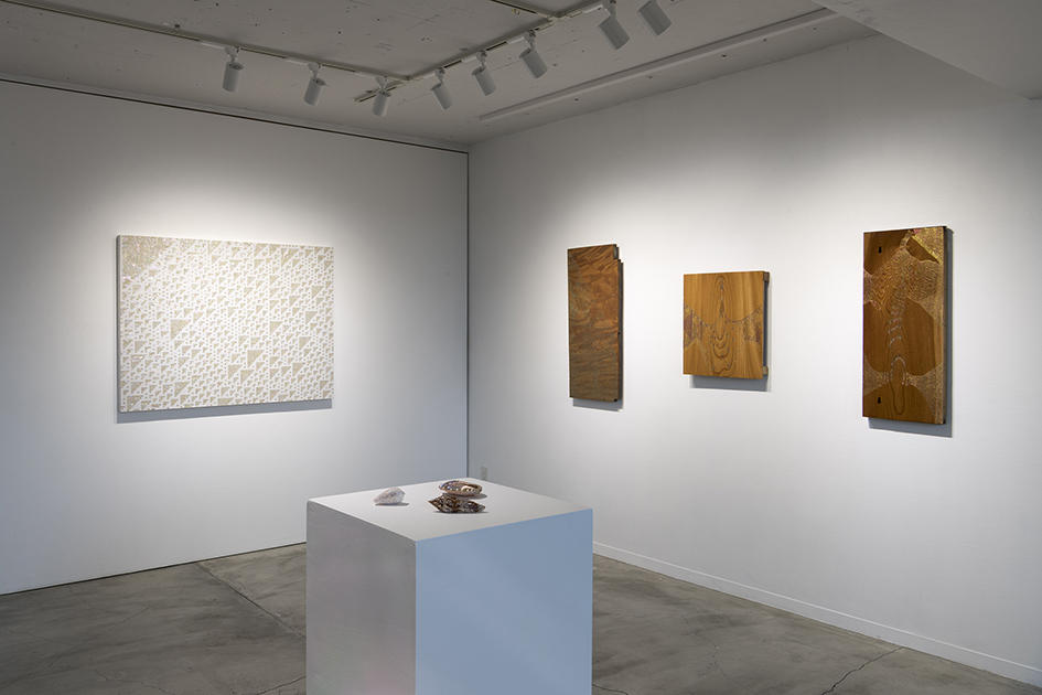 村山悟郎-生成するドローイング、瀬戸内国際芸術祭とギャラリーを繋ぐ