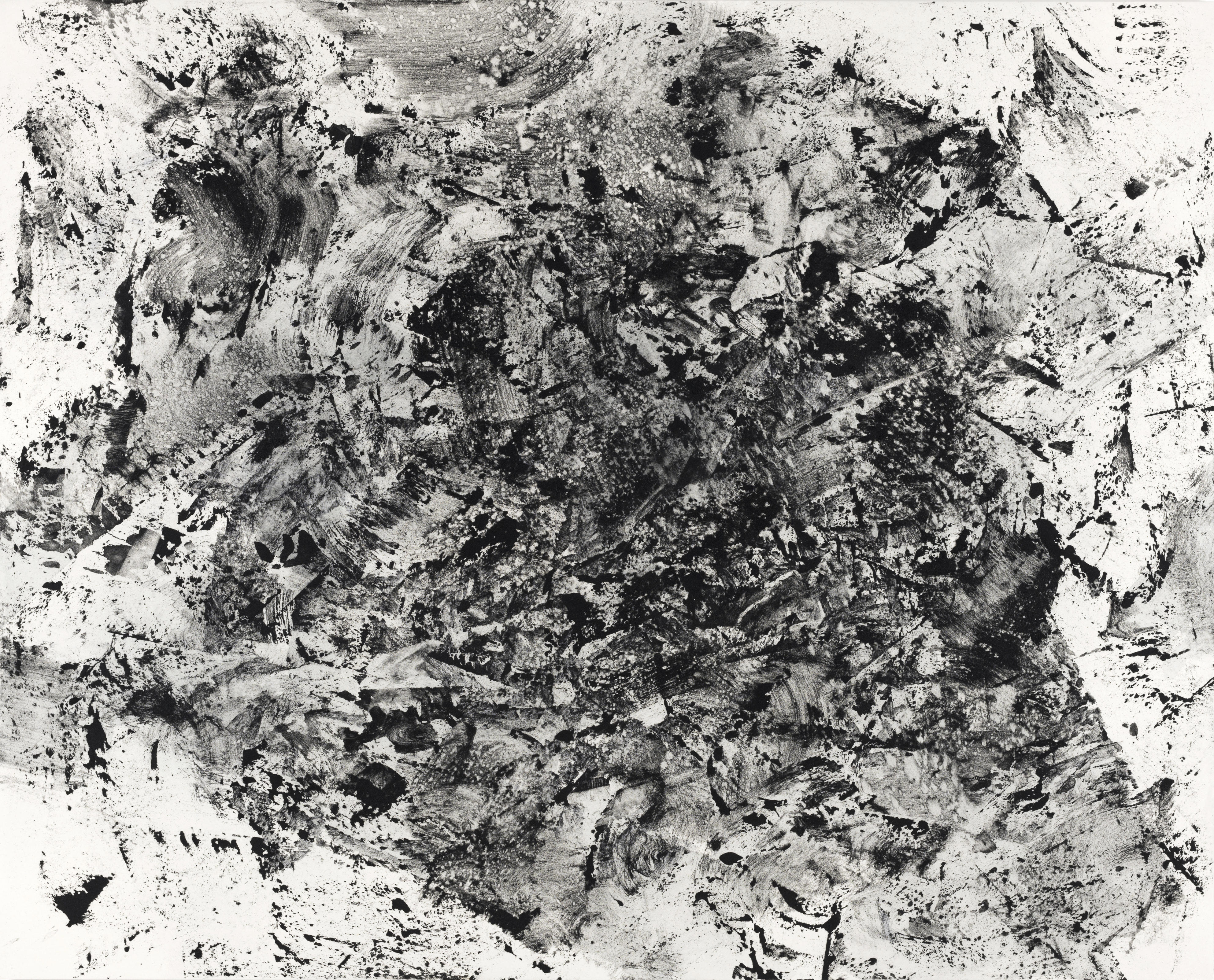 Gallery's Picks for the Month (7月）