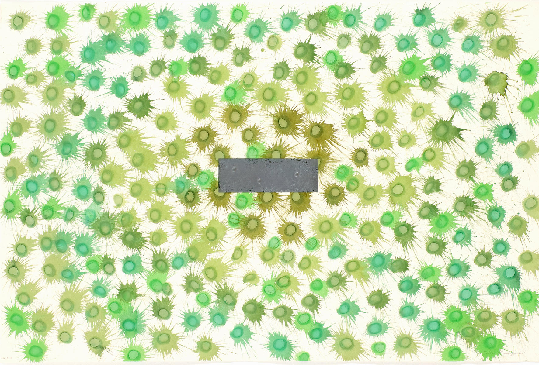 河口龍夫 作品紹介02 : 「種子の周囲に」展、1994