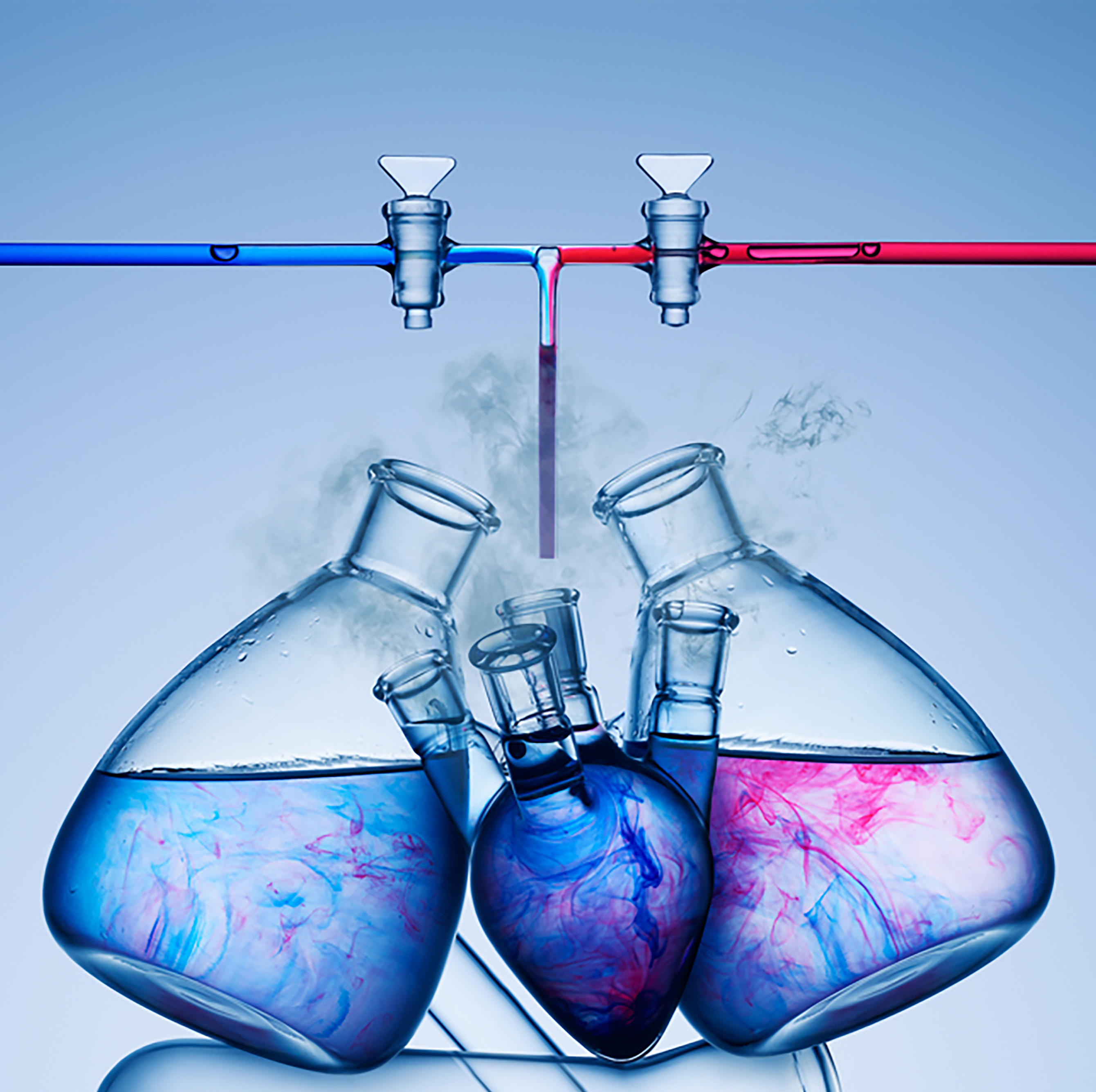 西澤知美 作品解説：The skin you are now in