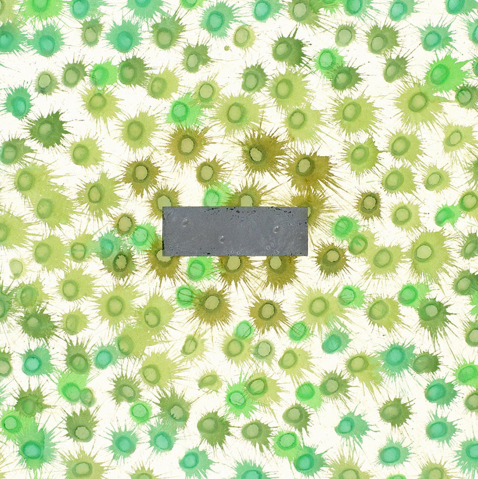 河口龍夫 作品紹介02 : 「種子の周囲に」展、1994