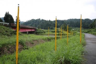 大地の芸術祭 越後妻有アートトリエンナーレ2015 リポート No.9 - 磯辺行久