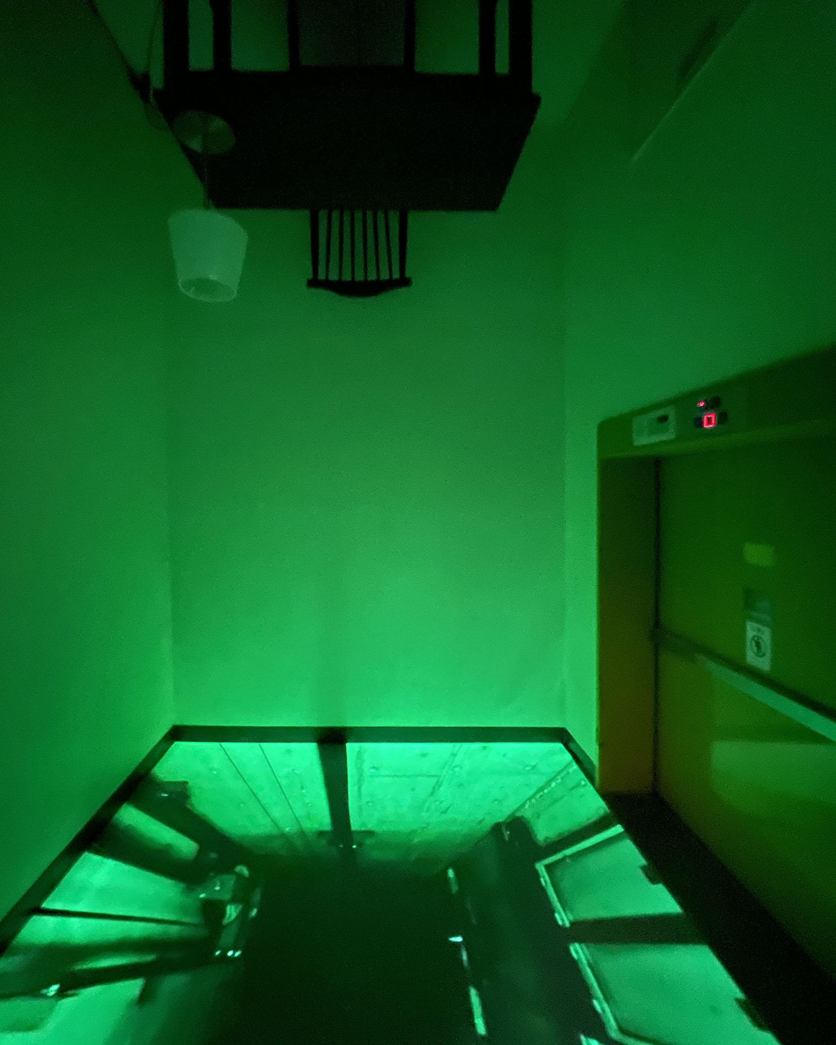 Gallery's Picks for the Month(いちはらアート×ミックス)