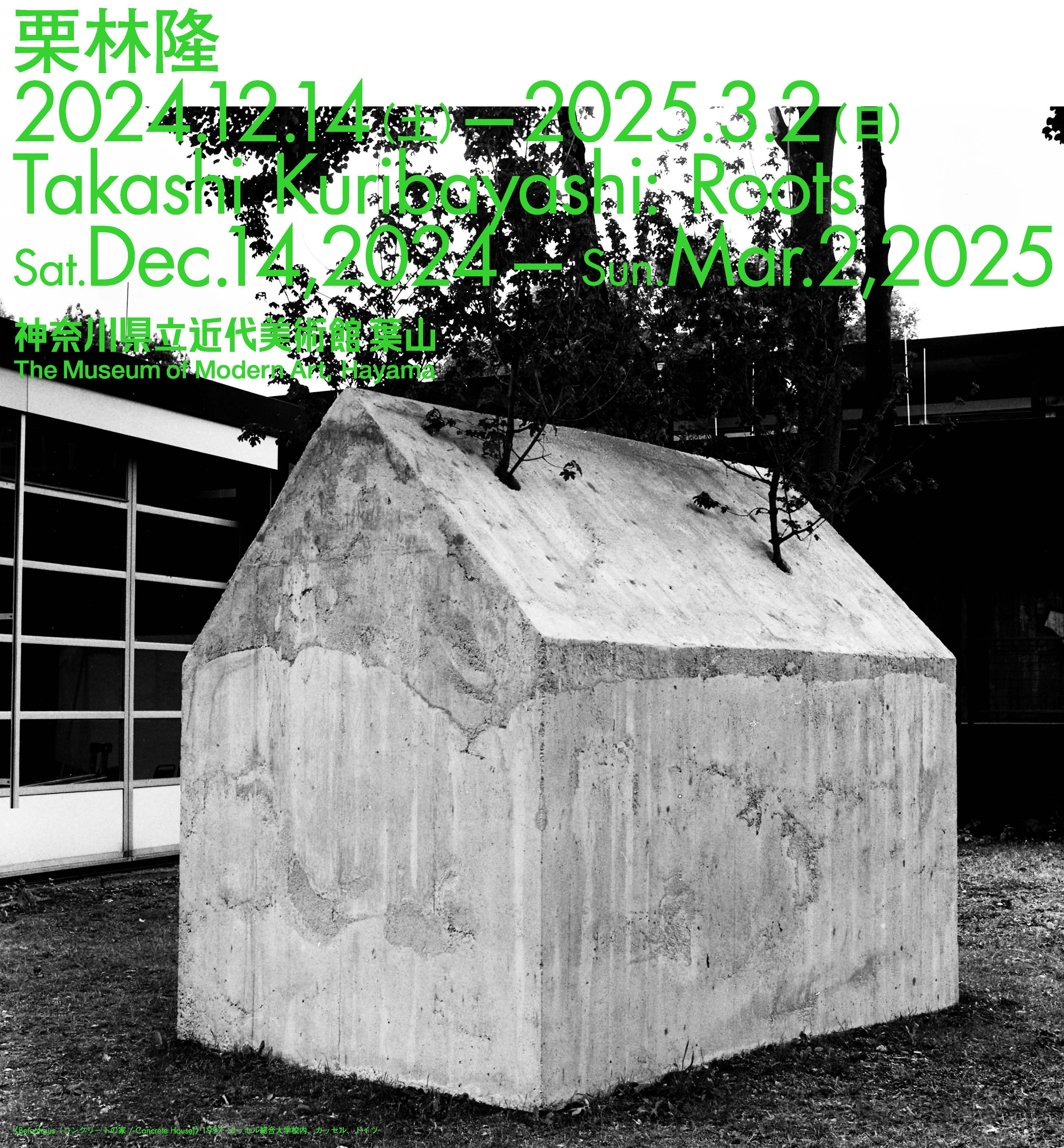 栗林隆「Roots」：神奈川県立近代美術館、葉山