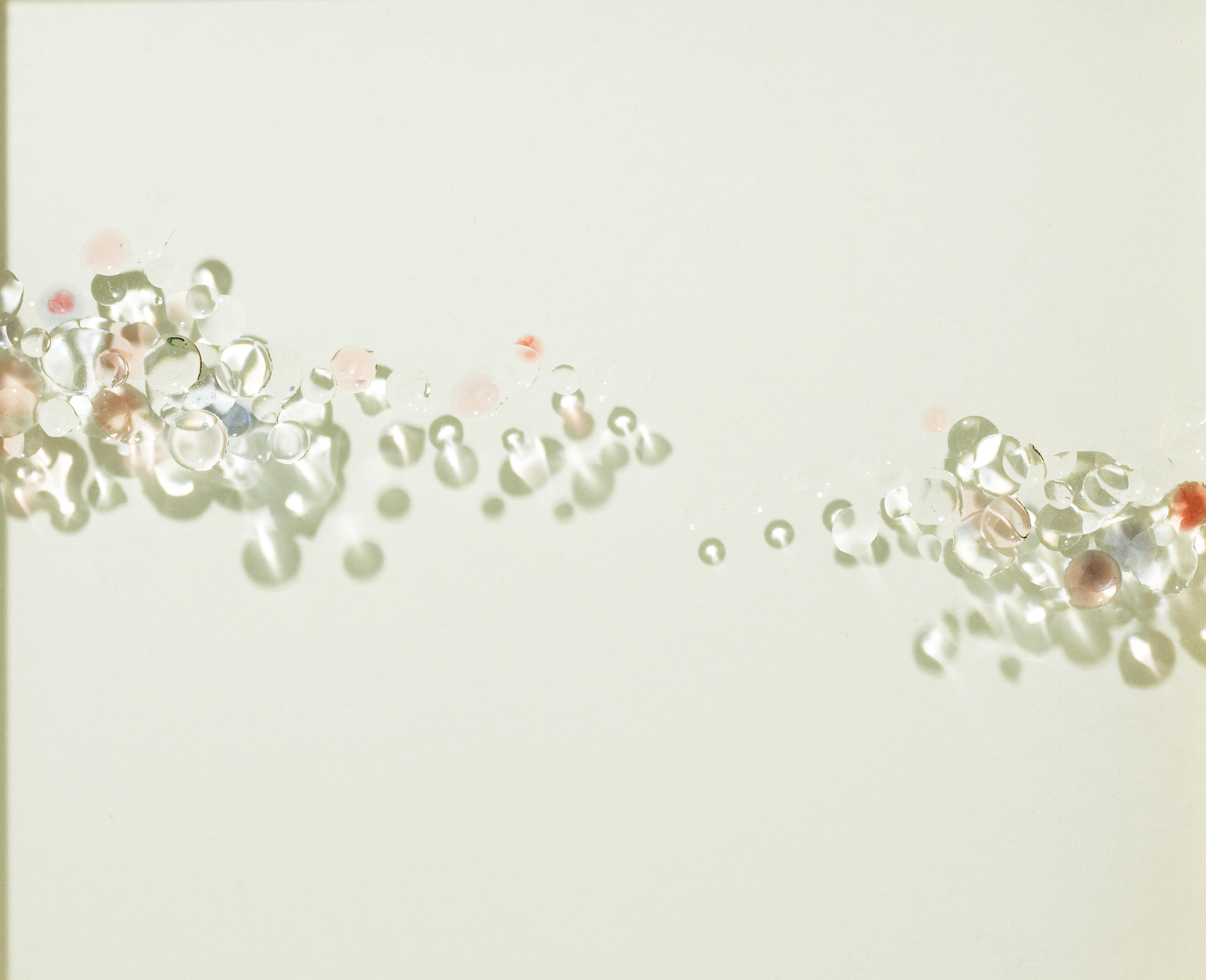 竹中　美幸 　／　柔らかい風景