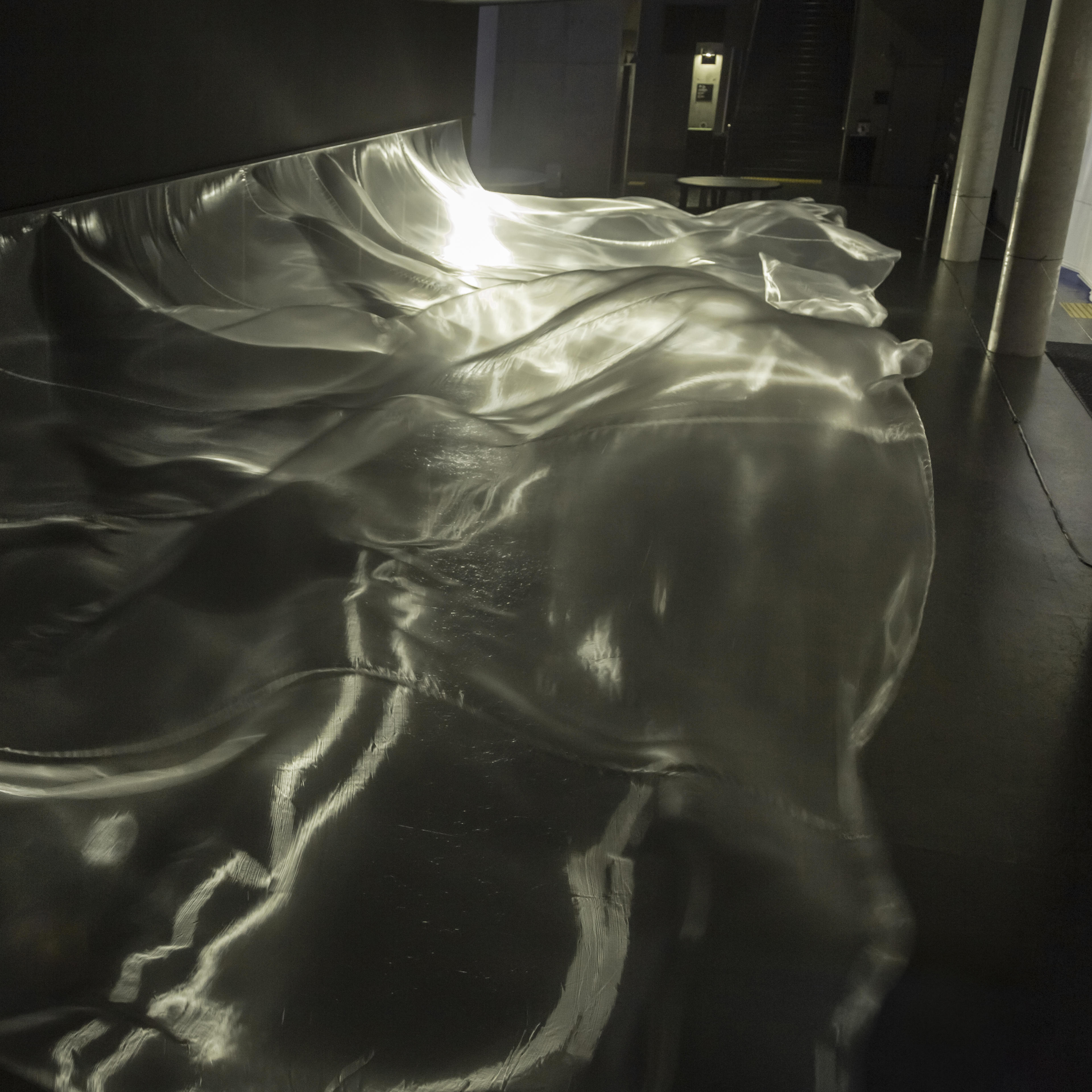 大巻伸嗣 個展 パリ　   エルメス  セーブル店