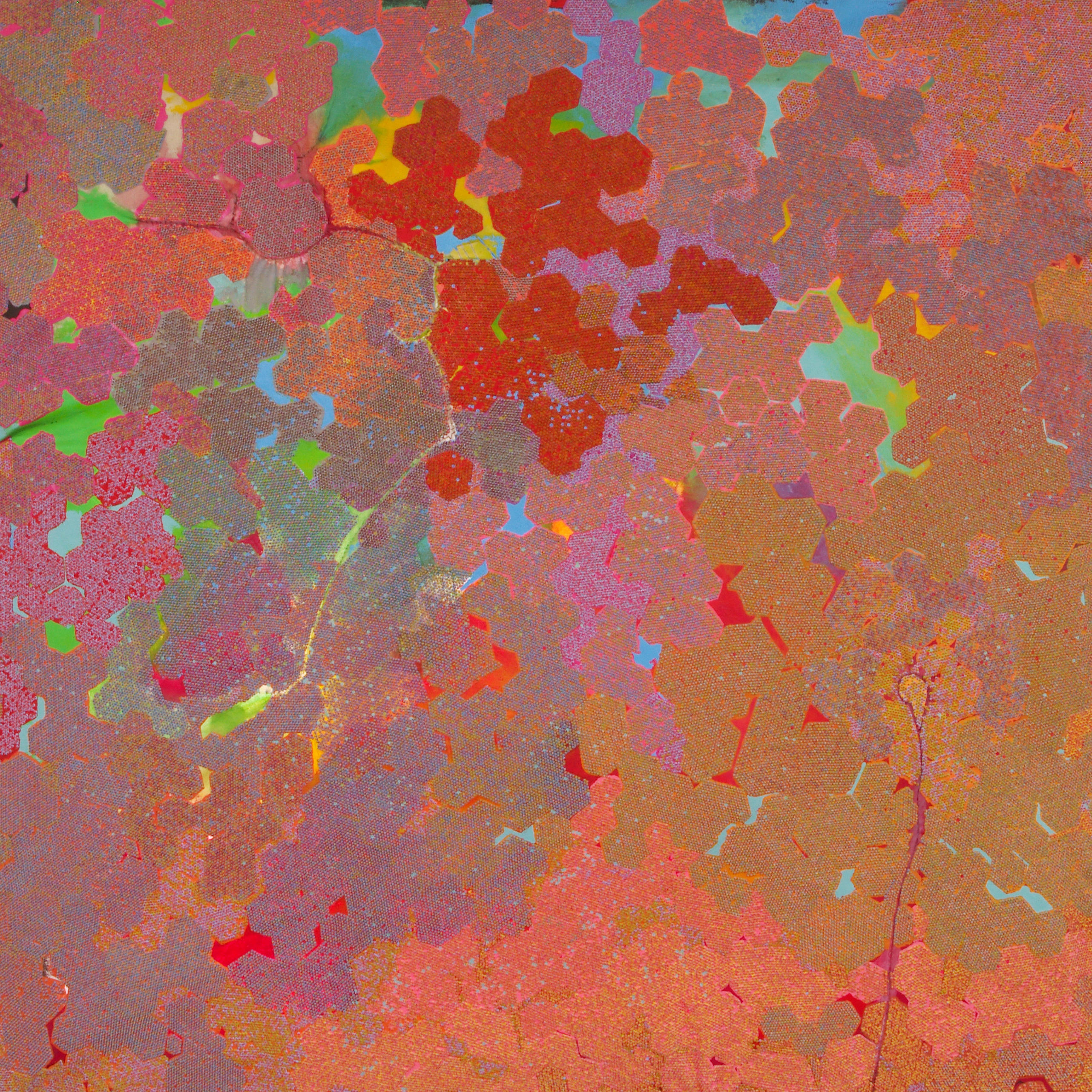 2017年 年初めの展覧会スケジュール