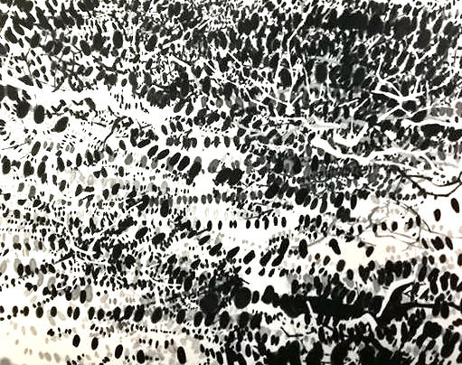 浅見貴子@佐野市立吉澤記念美術館、栃木