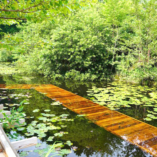 川俣正、金氏徹平、竹中美幸 : 神戸六甲ミーツ・アート2024 beyond