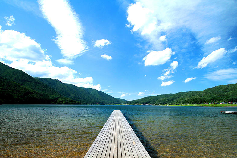 作品プラン公募