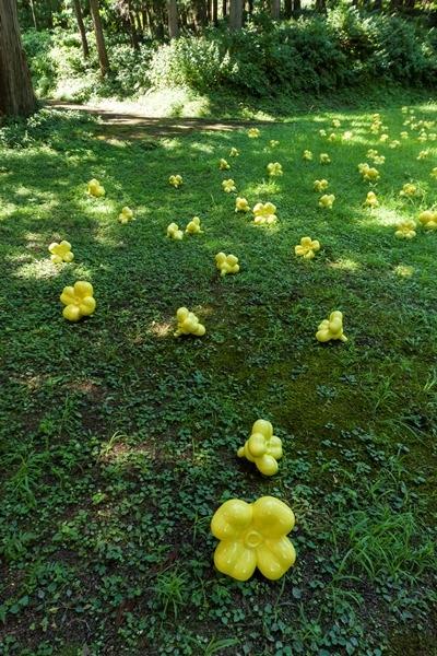 「どうしてみんな、花が好き？」