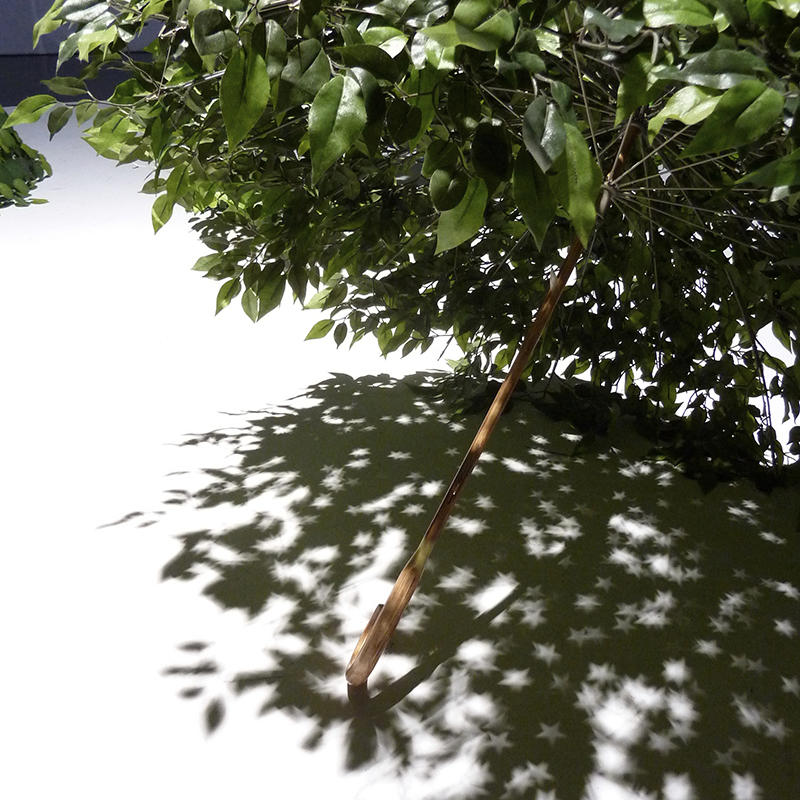 木村崇人 個展 - テーブルの上／下から