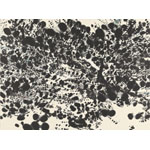 浅見貴子展 －光合成－