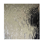 椛田ちひろ 個展開催