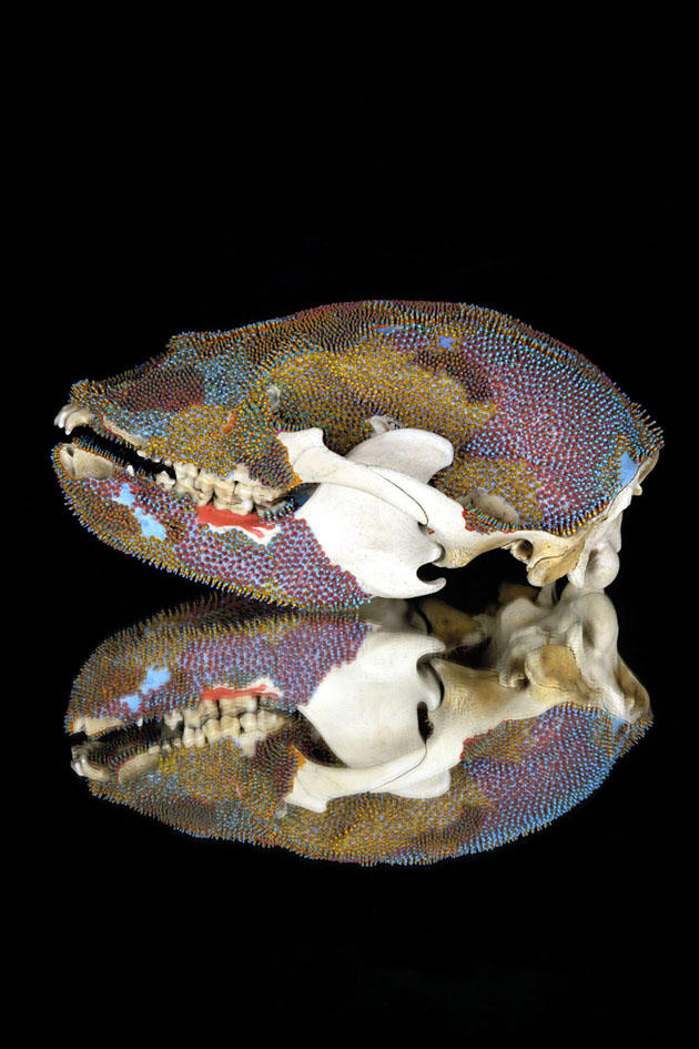 小野耕石 - 削柱移植