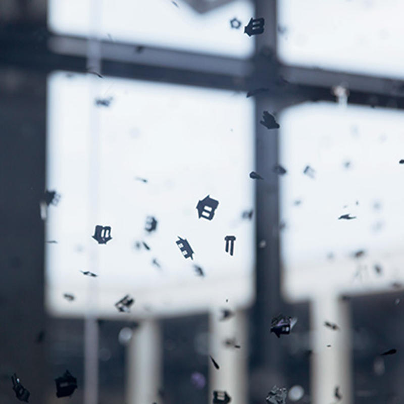 カルロス・ガライコア来日