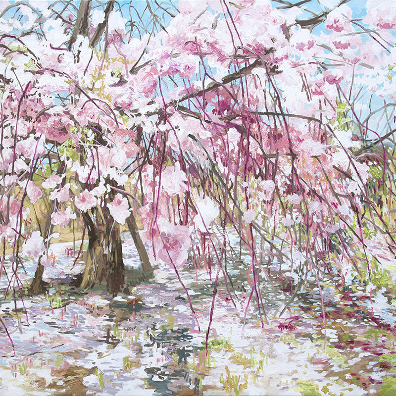 北城貴子 ‐ 浸透する光