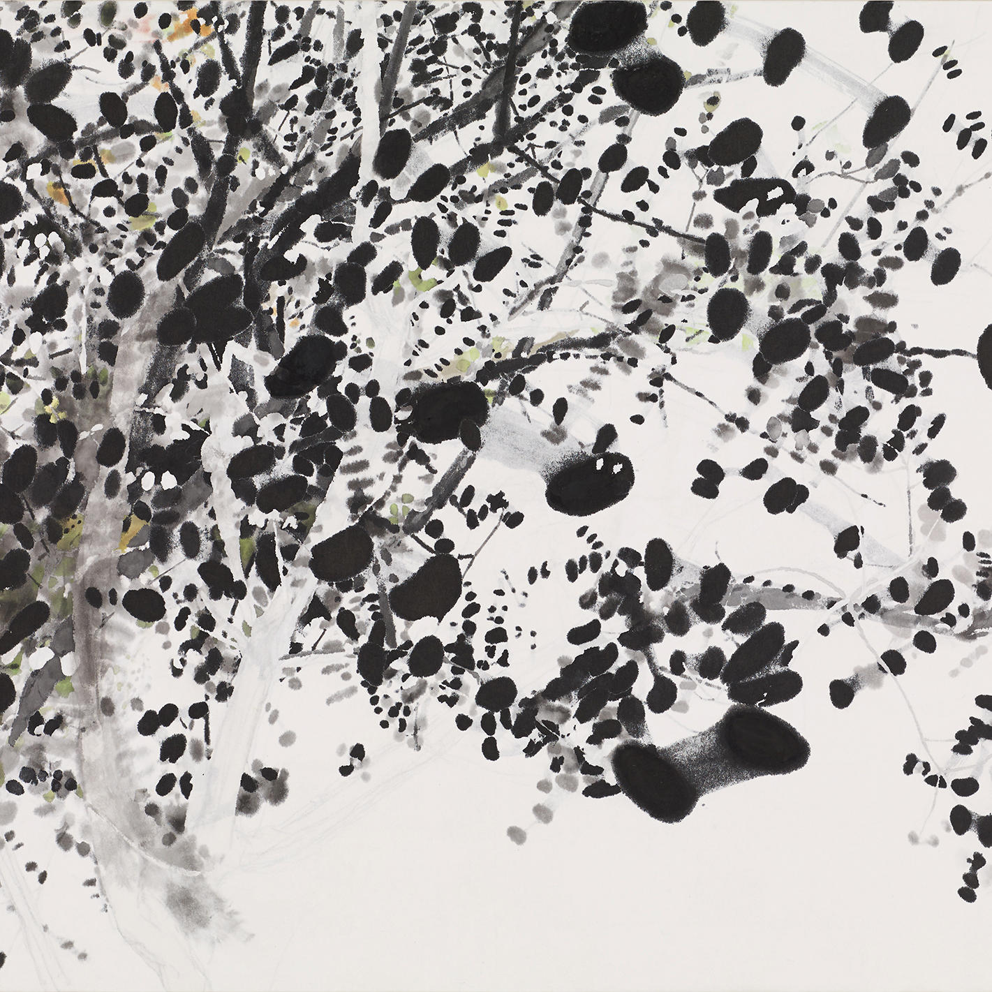 浅見貴子　-　 光合成